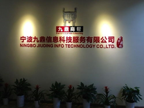 寧波九鼎信息科技 數(shù)字化浪潮中的智慧咨詢領(lǐng)航者